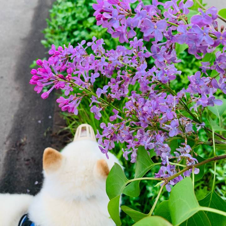 Abaec6d6 068a 4f6f bc12 ce8d2cd7305f 1622324116183