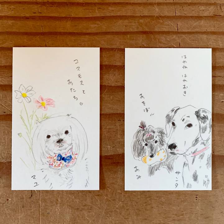 Abaed1eb 9756 4af3 8d2e ef5eec3d3412 1602726685279