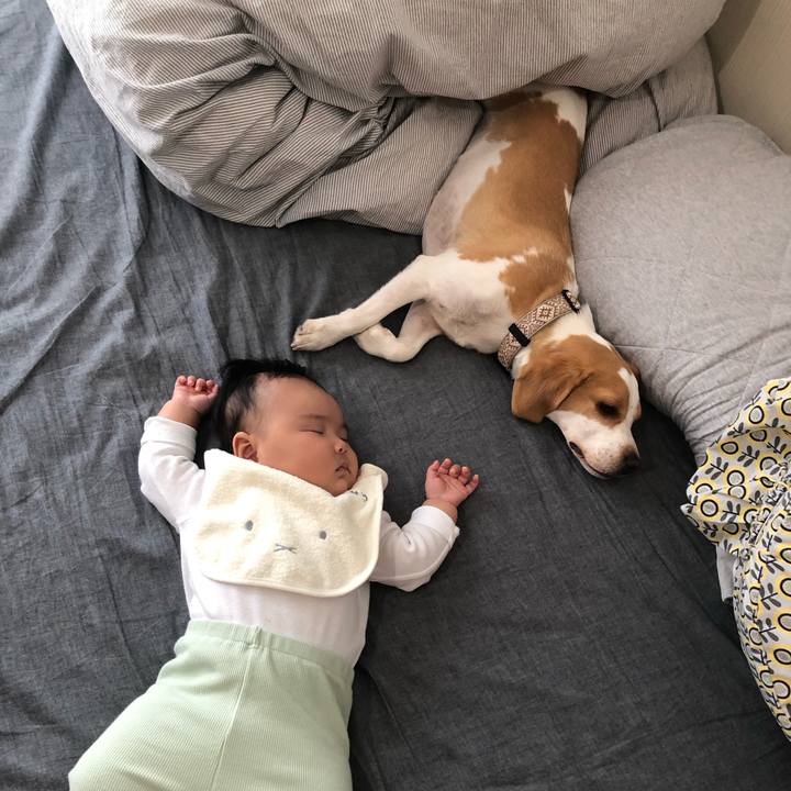 Abaed24d 0ebf 4a9a 8a5a 7a774ea94a15 1604049613822