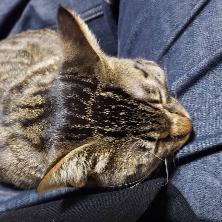 Abaee0b7 d1c1 411a 8d72 6ccd73079983 1547370417178