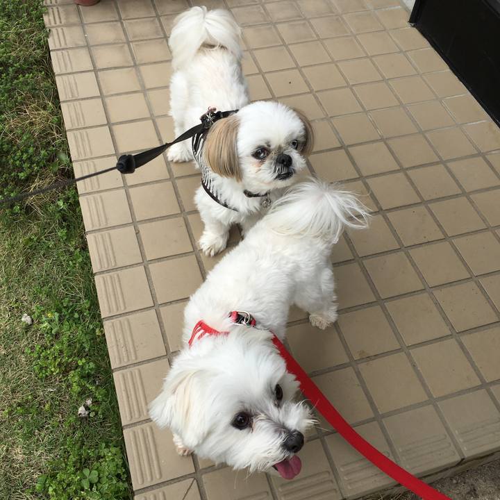 Abaefa66 4558 40ef b770 a71e99543e0b 1556680323511