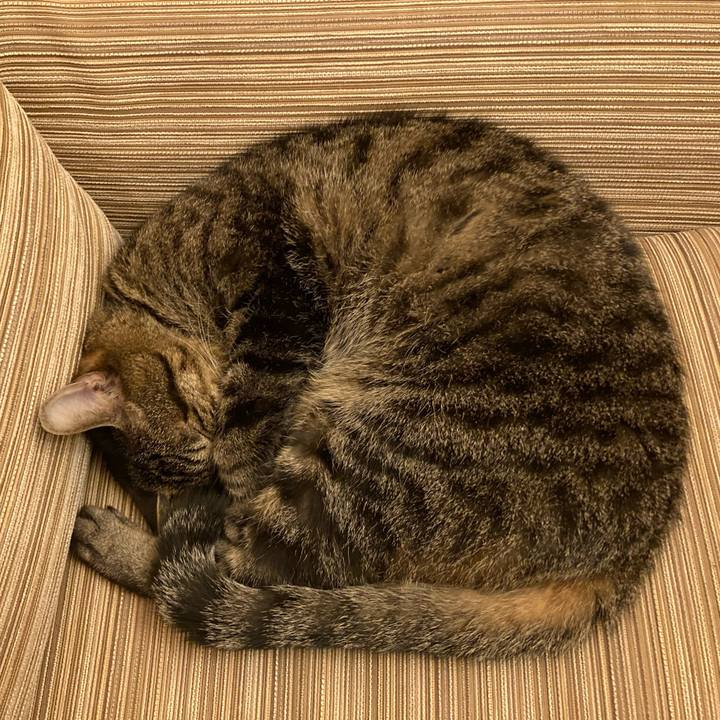 Abaf0d68 1905 4bd3 9ec0 f72451f14281 1622544622459