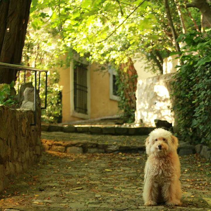 Abaf11b7 c41c 4a2b 8c21 a593148cbd05 1591444601963