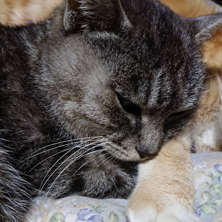 Abaf179a 511d 4886 8a74 1cb1baa76bf8 1579174420437