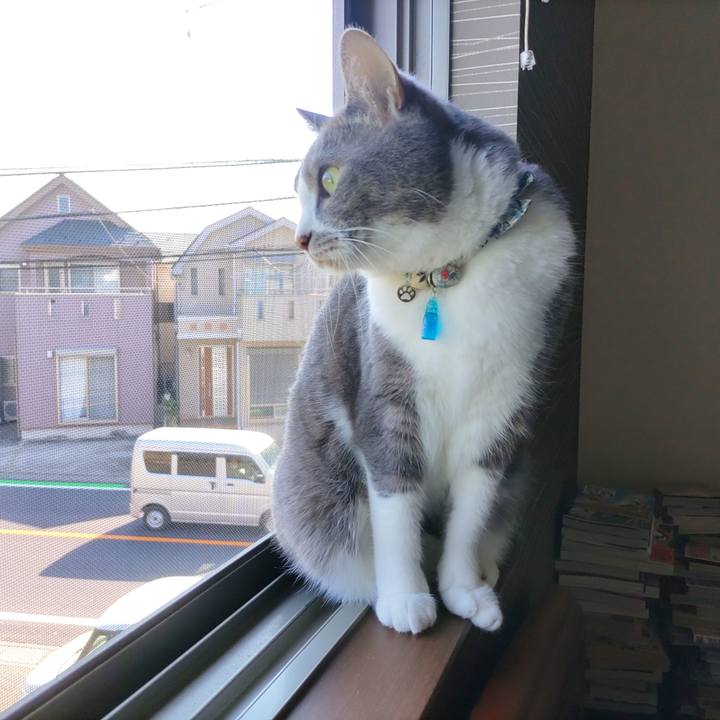 Abaf359d 0180 4831 be1c 7308055e9a25 1713315634048