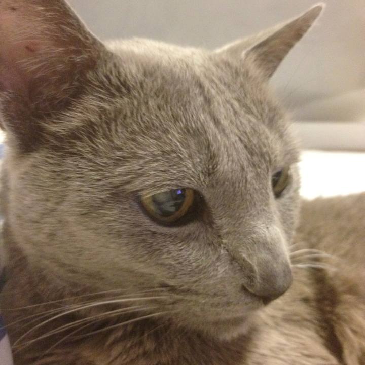 Abaf45d1 4a29 42db b2c9 7c079d7eadfe 1617318420053