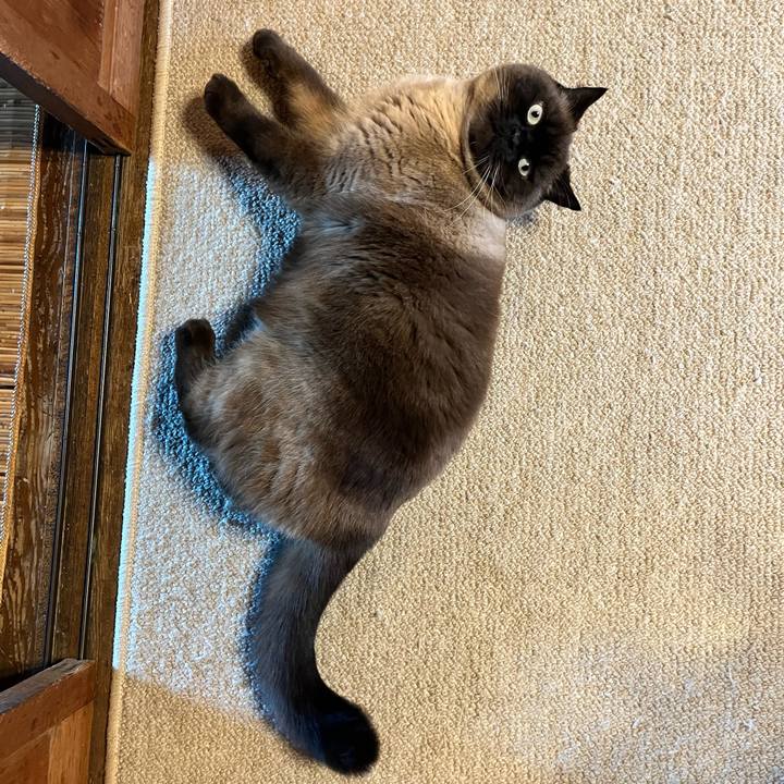 Abaf4769 9388 4328 a4b4 eed9015b6c00 1673348116499