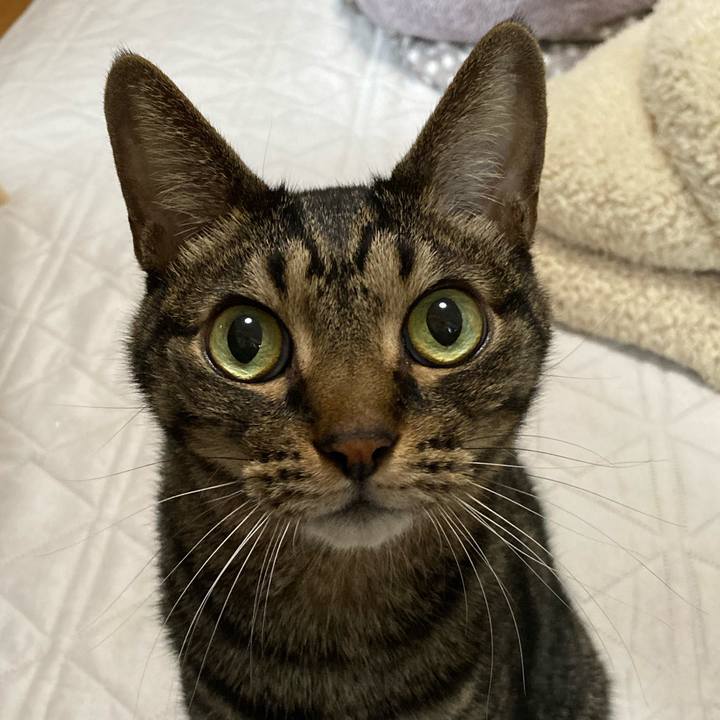 Abaf7179 395a 495d ba66 9c24e80c55a5 1699516252902