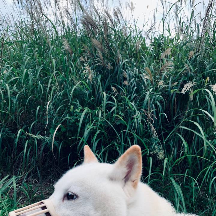 Abaf7331 0edd 4bd7 bfa6 577fd5e92008 1600552462840