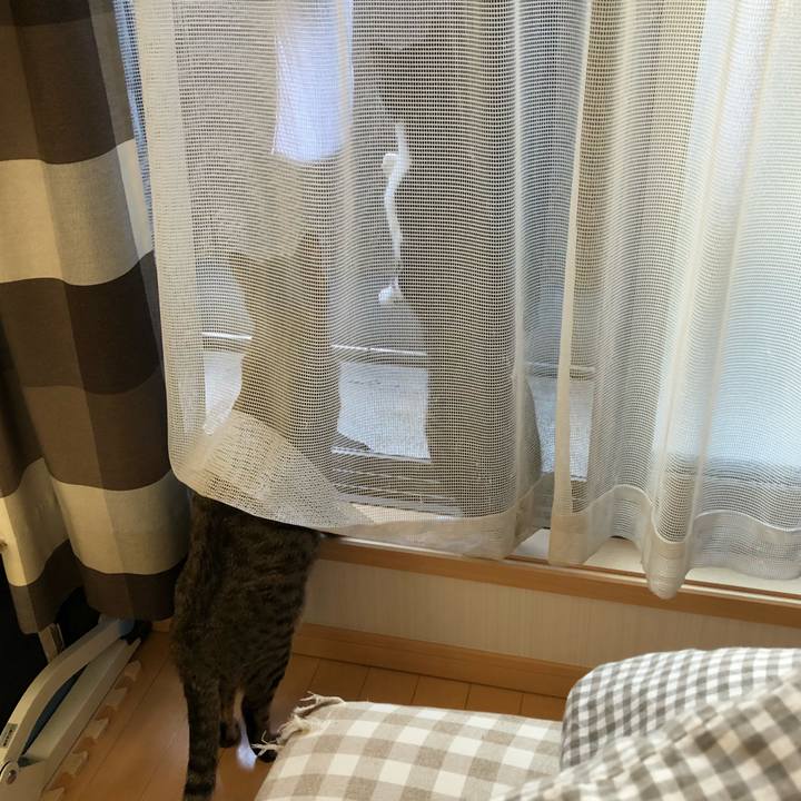 Abafba26 b810 4259 b0ac 06a8195f02f6 1514537934458