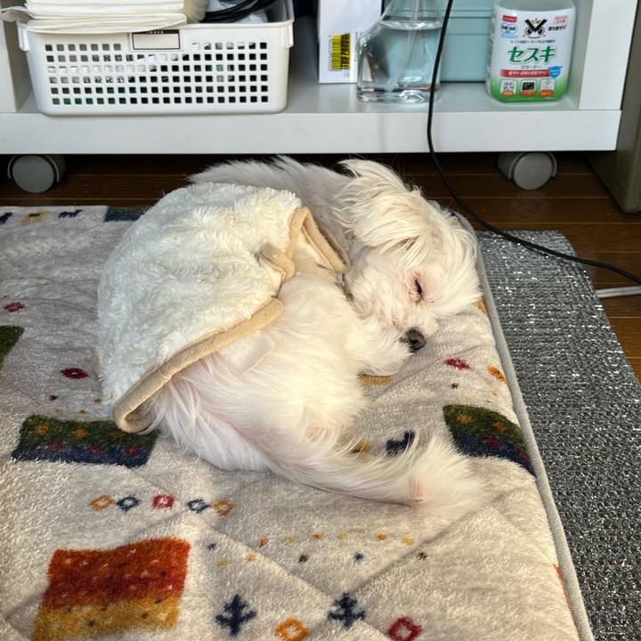 Abb02b34 d804 4fe7 9378 87418216d6d6 1737683721520