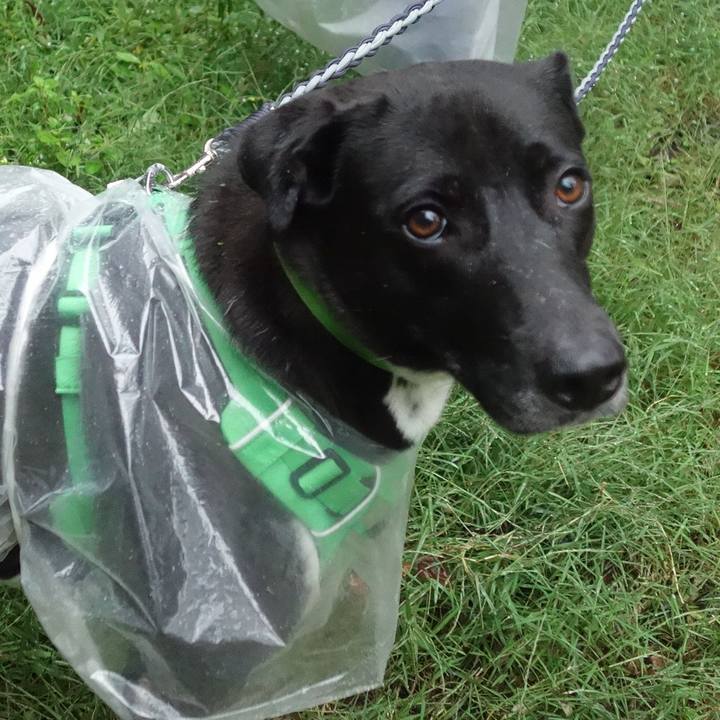 Abb0366e aa9b 43eb 8c14 5853bfaa6057 1602929759234