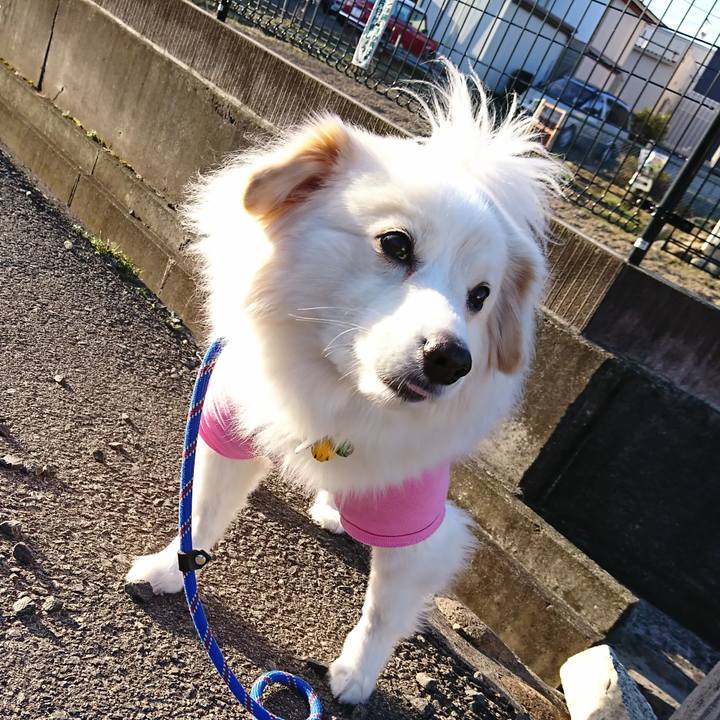 Abb03cd8 a57b 4a19 ad57 2bedec064288 1520375735237