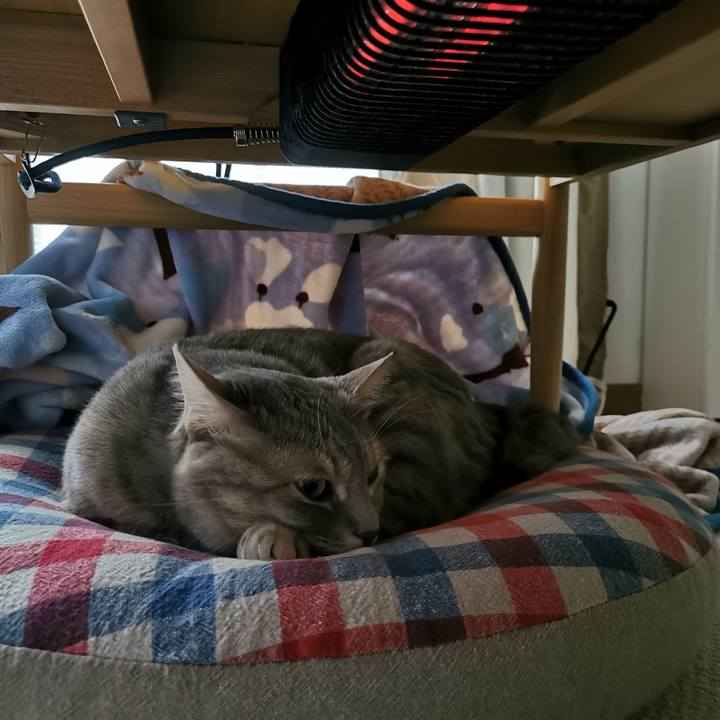 Abb0c23a 18f5 4121 997a fe4ec7161180 1651205078666