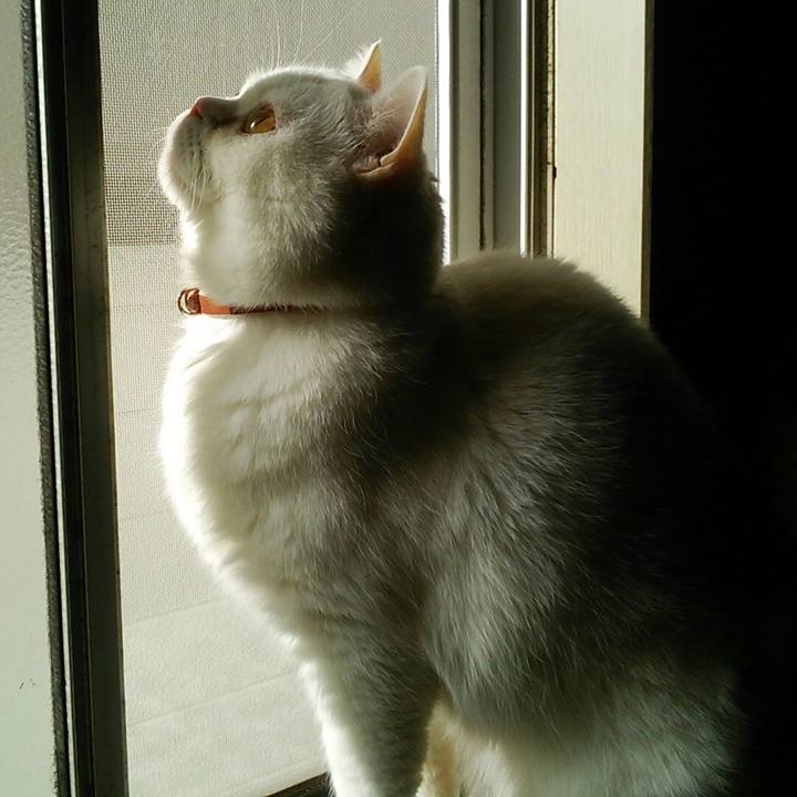 Abb0da04 e451 4d26 85b6 5716426c8134 1515904543409