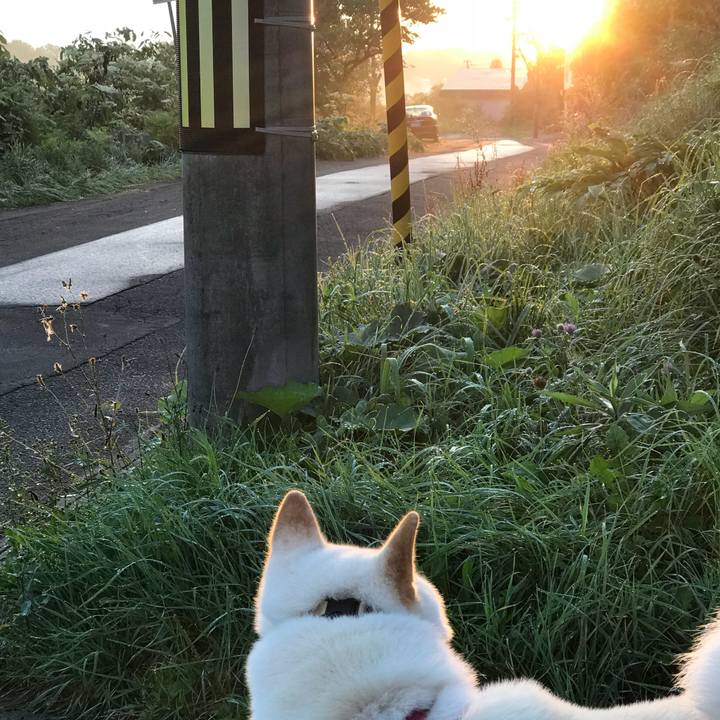 Abb108f3 170f 4b25 8413 ce31e5469ccf 1537131729097