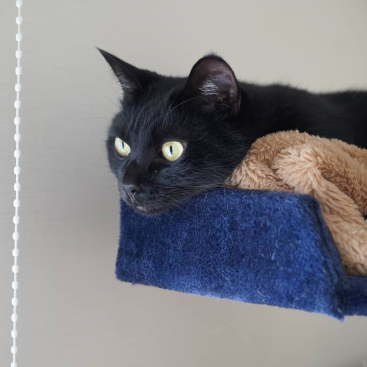 Abb16cf1 d7e2 428c bc43 c03d9ee74ab6 1626358352077