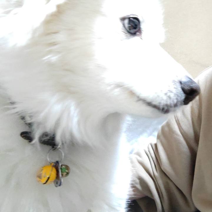 Abb1b743 d09e 4ee0 af90 5ad8853e7d74 1648593812800