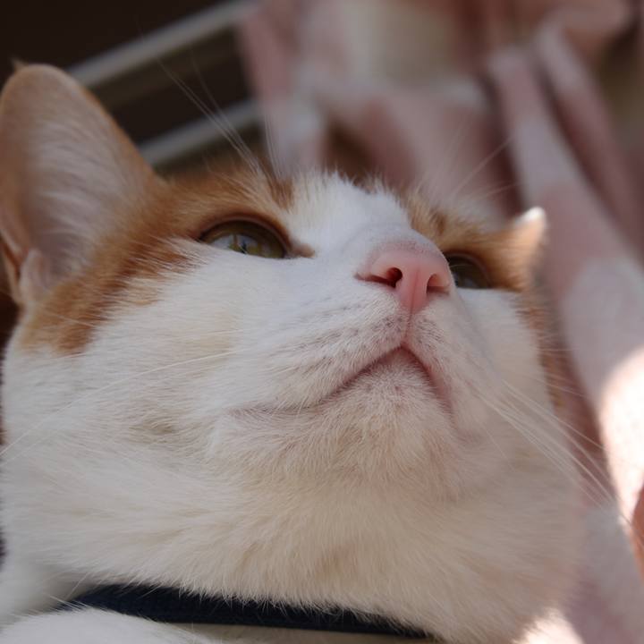 Abb1b8c7 82d9 45af 97eb 82bf03af1e99 1520399497775