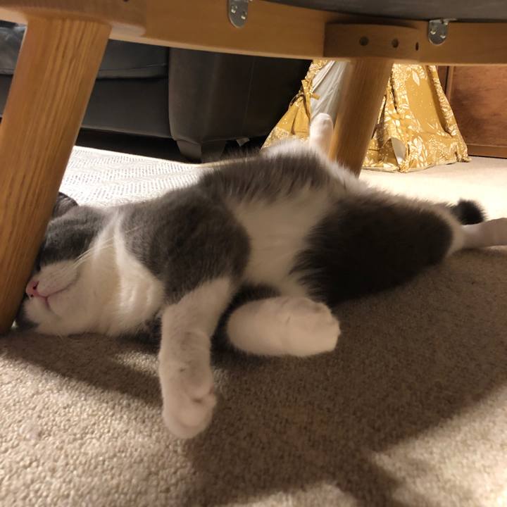 Abb1bb1c 0d9d 49f2 86df faaf86aaca3b 1563535259660