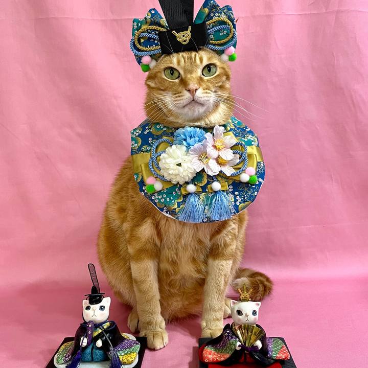 Abb1c6ee 94d3 47ad aa7a 0bd072a8301b 1740960799946