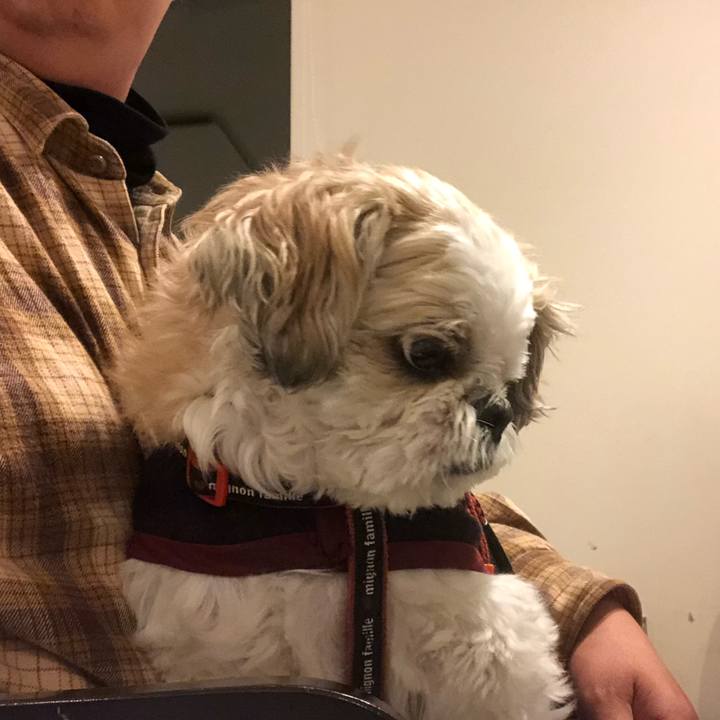 Abb1cc1e b045 4cbe 8e1a e3497d80264f 1571435409872