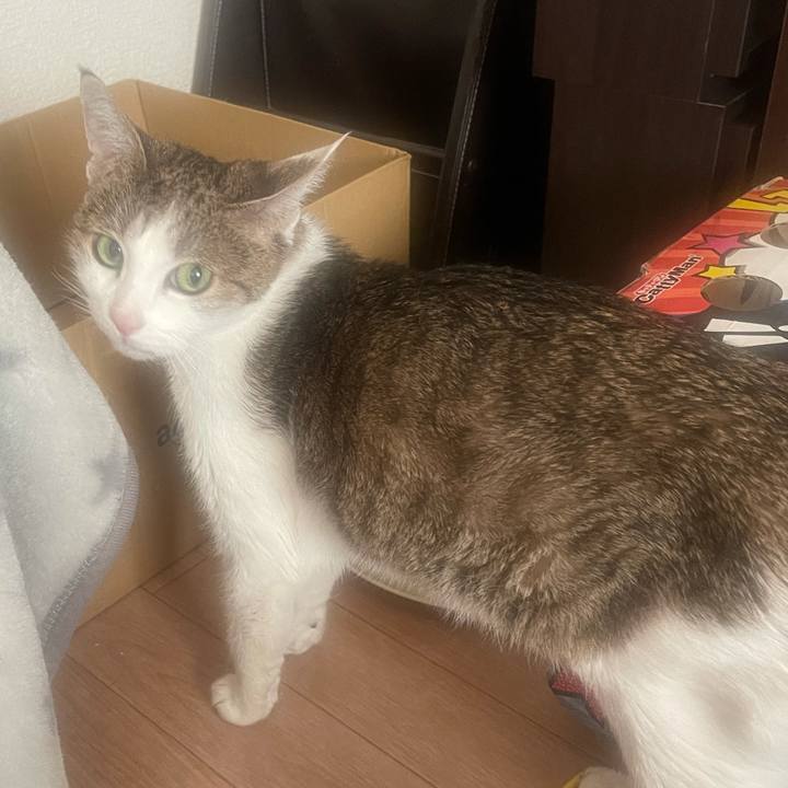 Abb1d058 04cf 4419 93a6 6de091660f7b 1639610153765