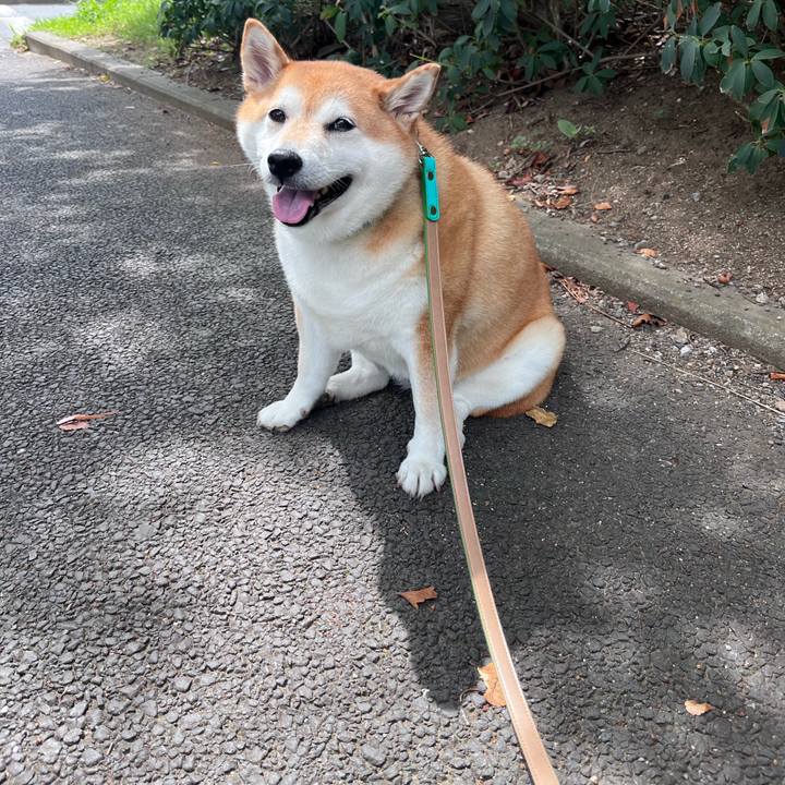 Abb21d0e e1ca 41cc 8940 2844cd2dd534 1693197790623