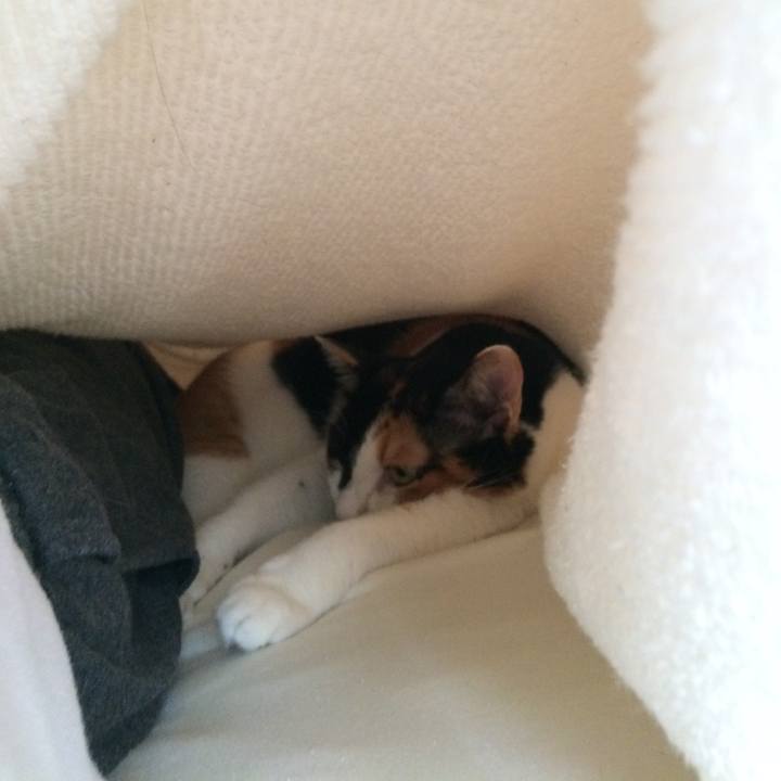 Abb2613b 0b13 4293 b2be c3c8584256b2 1569024739912