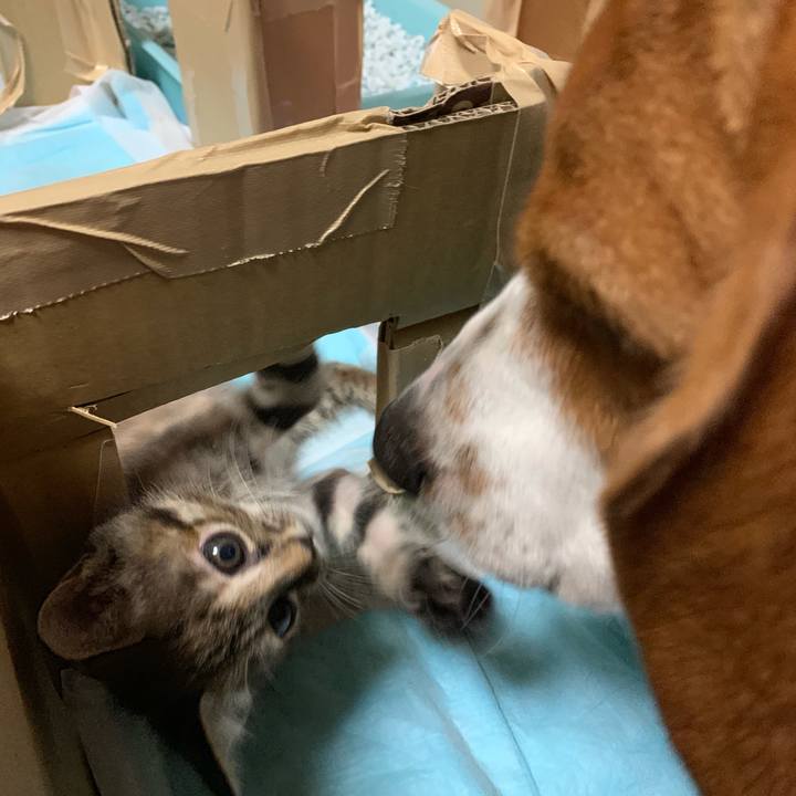 Abb296ee 05bd 4735 b8d2 c2d74881af0a 1558183279173