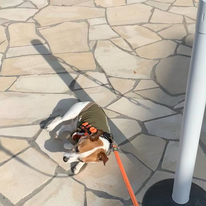 Abb29c70 9654 4e67 b37a 10d5a22b0a1b 1637113135858