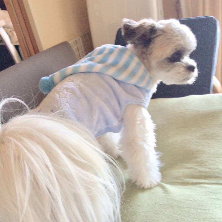 Abb2cb2f 667a 4136 ba75 630525182248 1523417032091