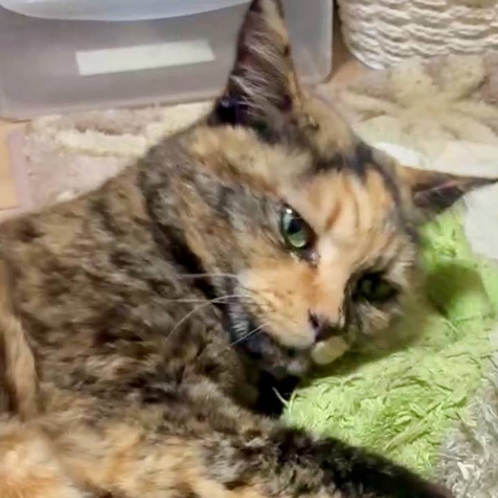 Abb3280e 5c7f 4bcc 870a 6a7bc43b09d9 1772572051553