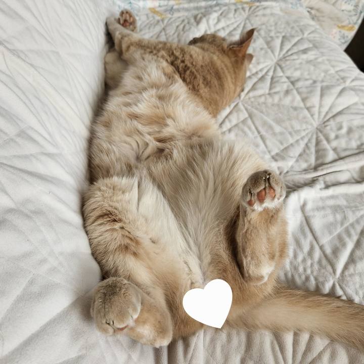 Abb3b979 beea 4a12 901a c6b938c09f41 1691904966127