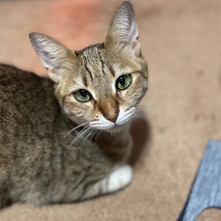 Abb3cd3b b80f 4db9 98b4 a1c492923e26 1672148291663