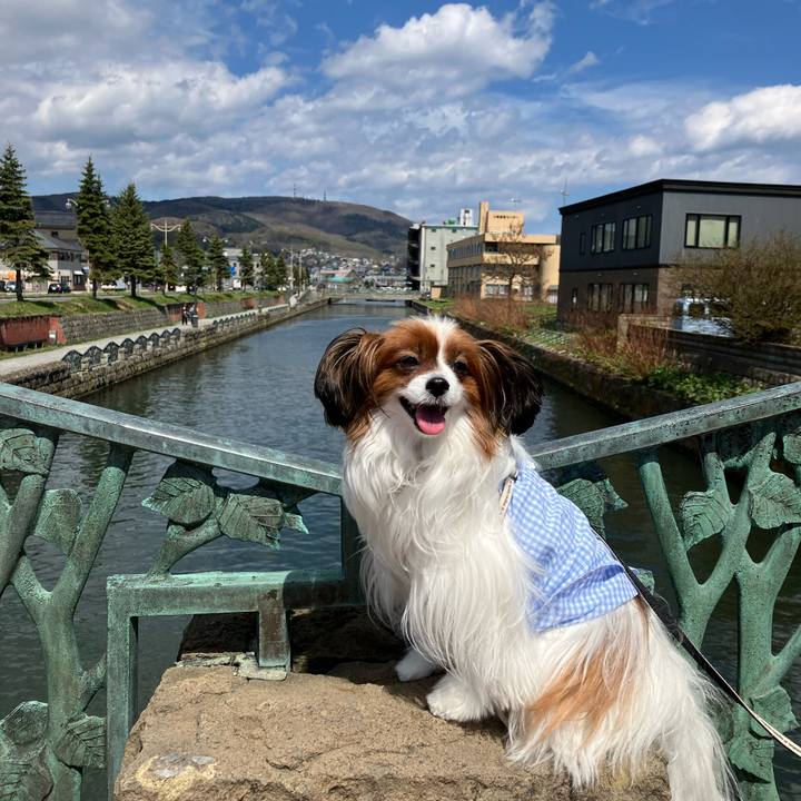 Abb3fad4 2b94 4c24 b8a9 13f926fe1671 1746328914883