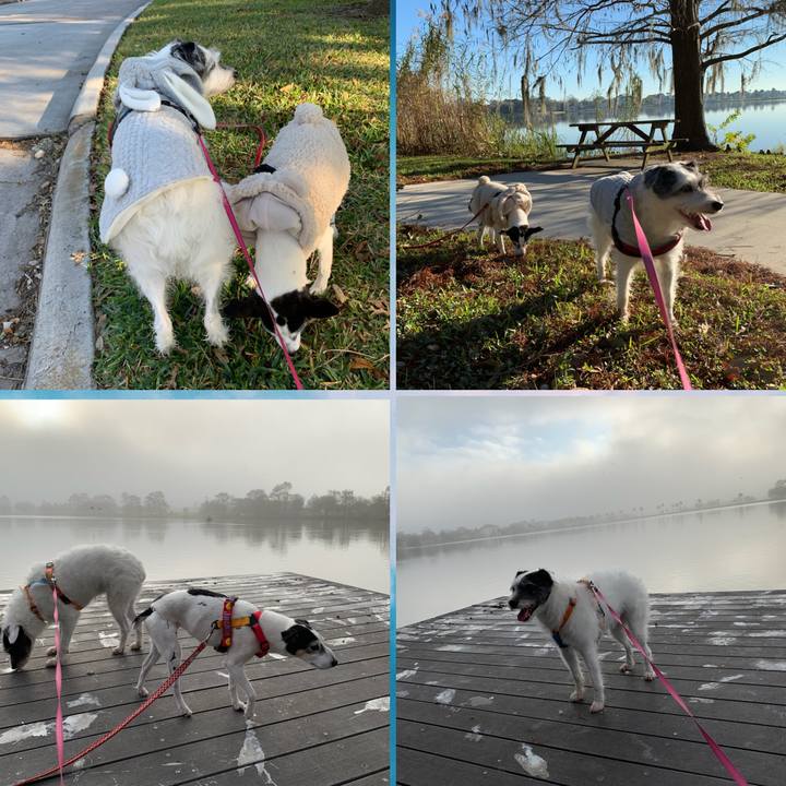 Abb40e1e e88f 4676 a44c cfe684df1f90 1643233890442