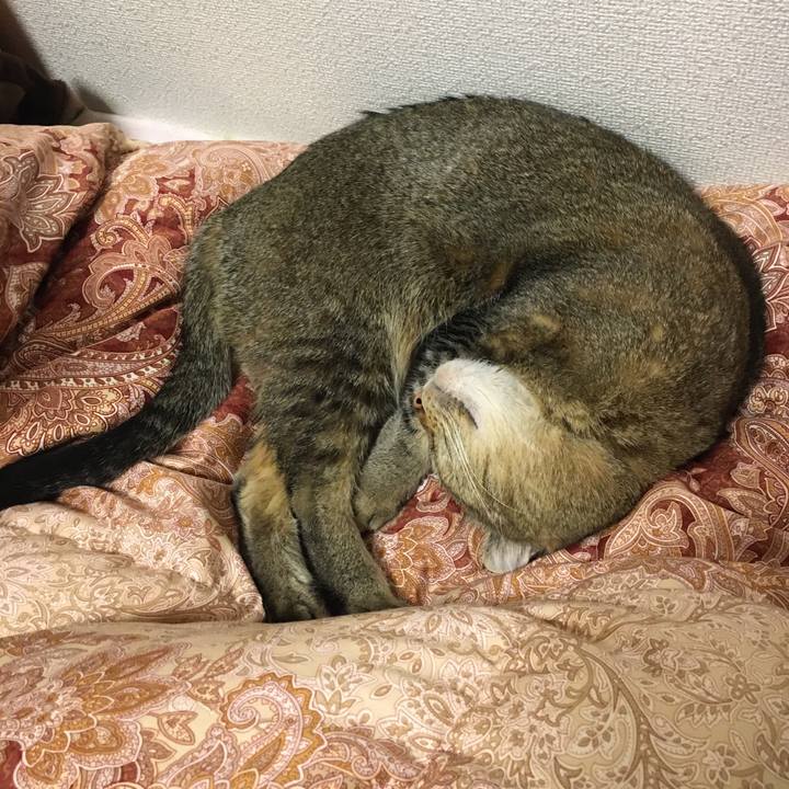 Abb41ce6 798e 466b 8dc4 38f842c7ff16 1644571174271