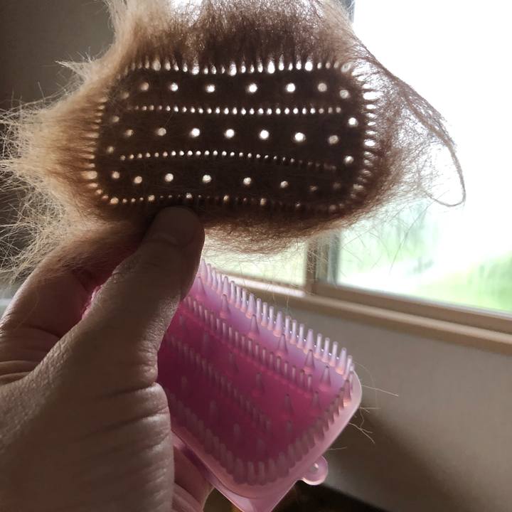 Abb46dfe 02df 45ef 91a1 da96aa5c4ebd 1598774625215