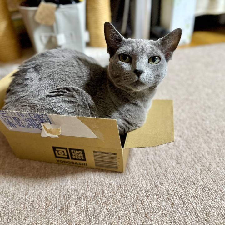 Abb482a7 51c2 4be5 a916 02b0ac5dad56 1773994632698