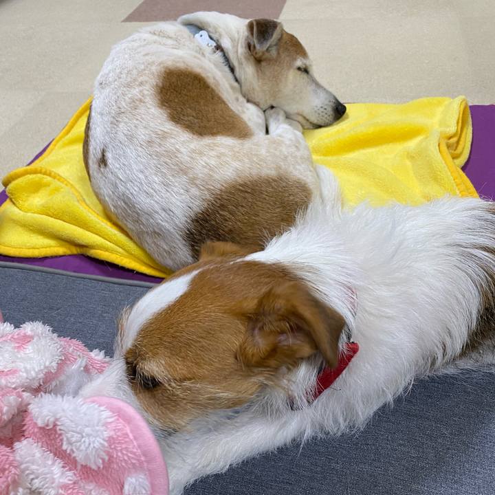 Abb48ce3 a92c 4687 b9ca 6934ad4141e2 1649426611411