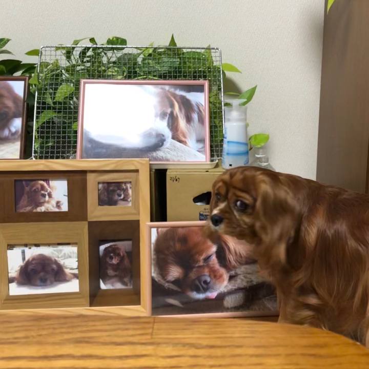 Abb4aba0 05bc 4300 a4e9 58ccf67bff11 1581027351262