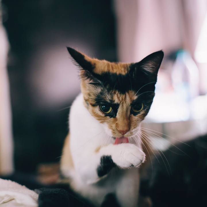 Abb4aceb 1387 480a a9e5 b74dfde00be7 1519021159439