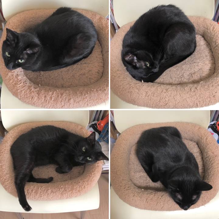 Abb4c1b6 71cf 4c1c ba36 be722ff97fc8 1615177376932