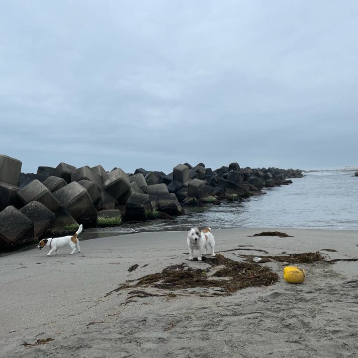 Abb4ecb2 5495 4d2e bda6 e4e8cfd83b9a 1649895772136