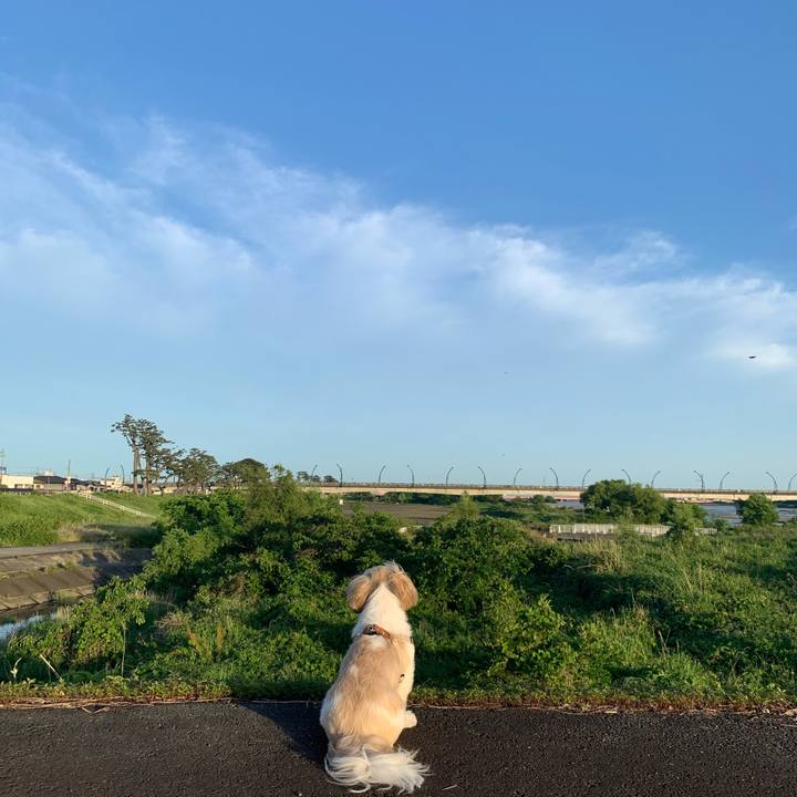 Abb54704 d649 4bc1 a287 8502a6600046 1652531474630