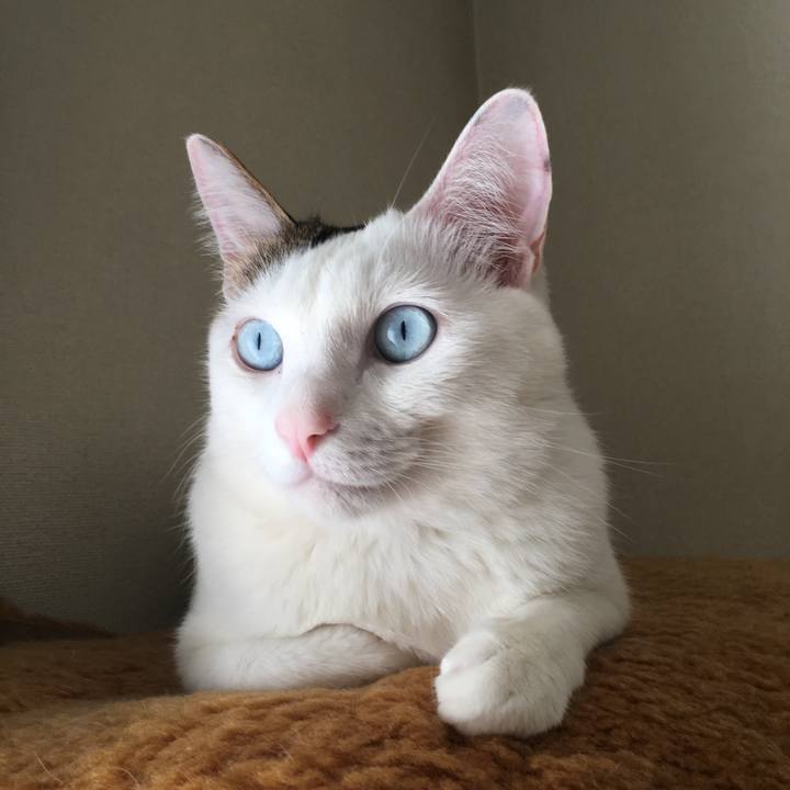 Abb55082 9a62 4019 b66e 24e1322515e2 1553069949256