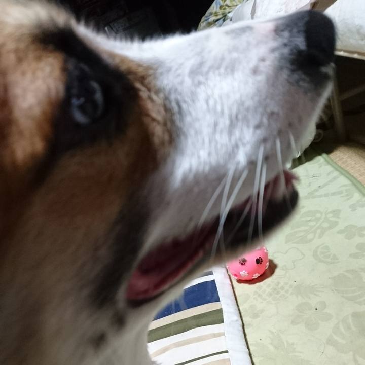 Abb5673a 9c80 4e28 b1d8 ff3a90e23dee 1567087012954