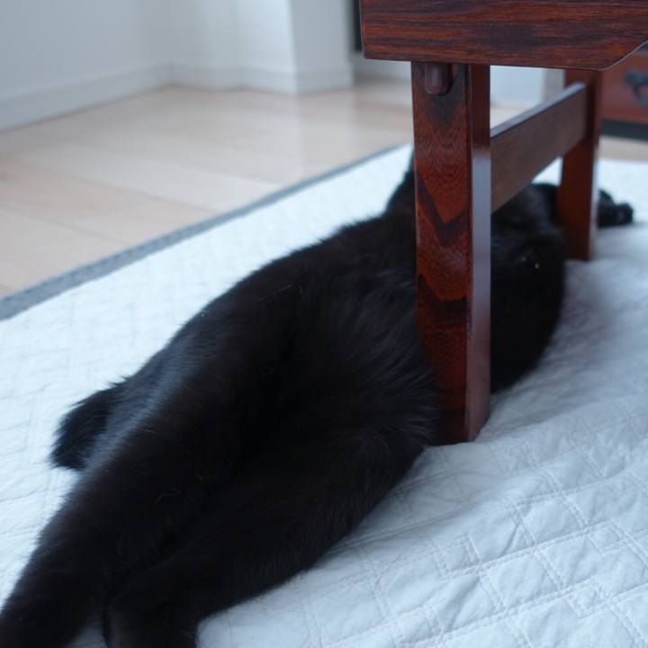 Abb56d15 897d 4a08 bba2 656c6abc0599 1512918682767