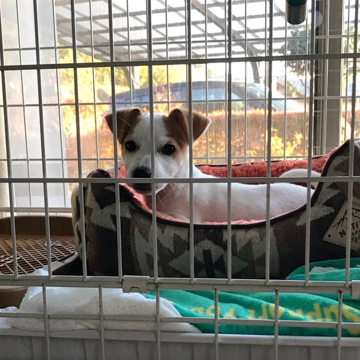 Abb585dc a9d1 4823 b682 a2cc31f6c51e 1543562263868